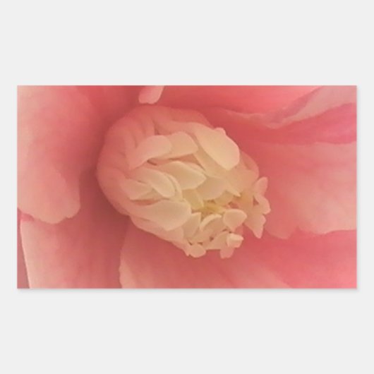 Sticker Rectangulaire Camellia rose (Devant)