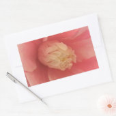 Sticker Rectangulaire Camellia rose (Enveloppe)