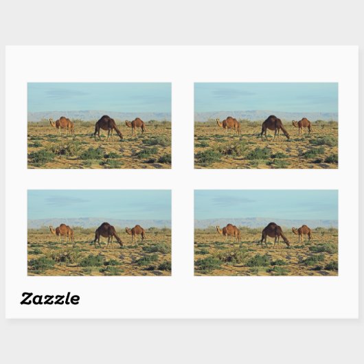 Sticker Rectangulaire Camels, Tunisie (Feuille)