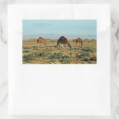 Sticker Rectangulaire Camels, Tunisie (Sac)