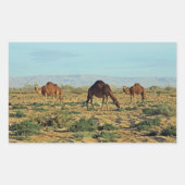 Sticker Rectangulaire Camels, Tunisie (Devant)