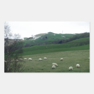Sticker Rectangulaire Campagne en Écosse