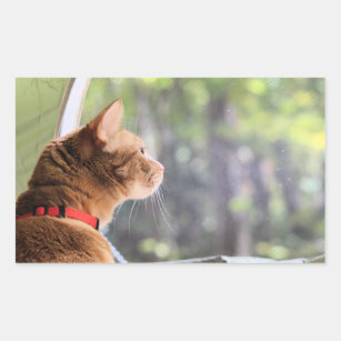 Sticker Rectangulaire Camping chat