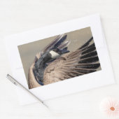 Sticker Rectangulaire Canada Goose (Enveloppe)