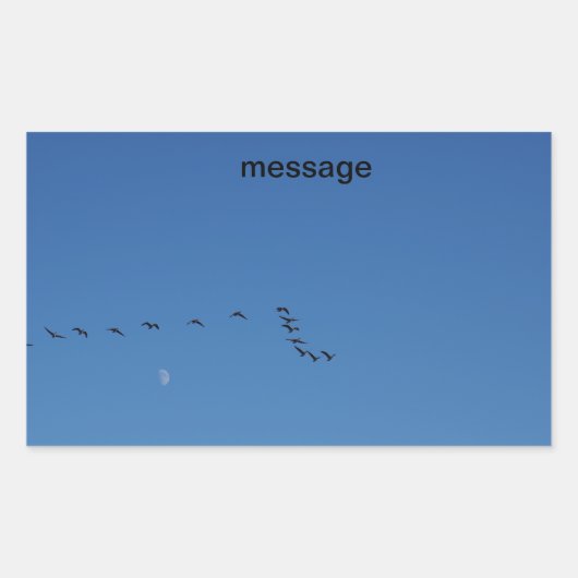 Sticker Rectangulaire Canadian geese (Devant)