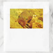 Sticker Rectangulaire Canal en flux (Sac)