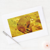 Sticker Rectangulaire Canal en flux (Enveloppe)