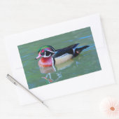 Sticker Rectangulaire Canard à bois mâle sur étang (Enveloppe)