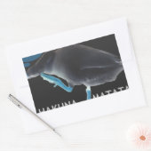 Sticker Rectangulaire Canard avec moi se réveille comme ça & Hakuna Mata (Enveloppe)