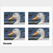 Sticker Rectangulaire Canard blanc (Feuille)