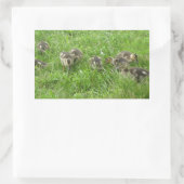Sticker Rectangulaire Canards dans l'herbe (Sac)