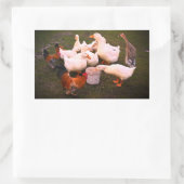 Sticker Rectangulaire Canards et poulets mangent amusants (Sac)
