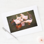 Sticker Rectangulaire Canards et poulets mangent amusants (Enveloppe)