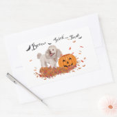 Sticker Rectangulaire Caniche à Halloween (Enveloppe)