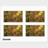 Sticker Rectangulaire Canopée des Feuilles d'automne II Photographie d'a (Feuille)