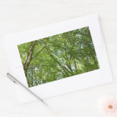 Sticker Rectangulaire Canopée du printemps Feuille Green Nature Scene (Enveloppe)