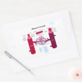 Sticker Rectangulaire Capillaires Capillaires Diagramme des veines des v (Enveloppe)