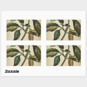 Sticker Rectangulaire Capsicum Annuum Bell Pepper (Feuille)
