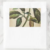 Sticker Rectangulaire Capsicum Annuum Bell Pepper (Sac)