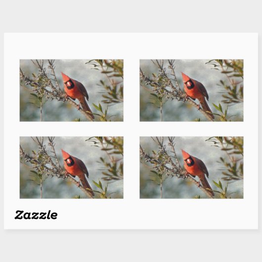 Sticker Rectangulaire Cardinal de Wax Myrtle (Feuille)