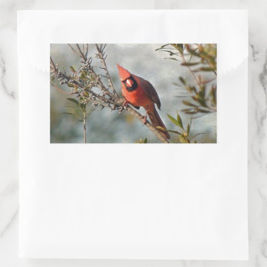 Sticker Rectangulaire Cardinal de Wax Myrtle (Sac)