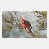 Sticker Rectangulaire Cardinal de Wax Myrtle (Devant)