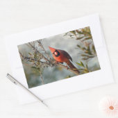 Sticker Rectangulaire Cardinal de Wax Myrtle (Enveloppe)