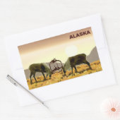 Sticker Rectangulaire Caribou Duel - Alaska (Enveloppe)