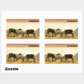Sticker Rectangulaire Caribou Duel - Canada (Feuille)