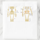 Sticker Rectangulaire Carte d'anatomie marquée du squelette humain (Sac)