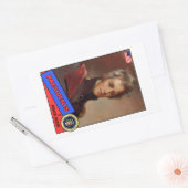Sticker Rectangulaire Carte de baseball Andrew Jackson (Enveloppe)