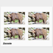 Sticker Rectangulaire Carte postale Brown T-Shirt Coffee Mug (Feuille)