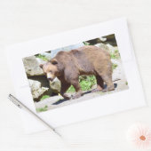 Sticker Rectangulaire Carte postale Brown T-Shirt Coffee Mug (Enveloppe)