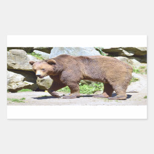 Sticker Rectangulaire Carte postale Brown T-Shirt Coffee Mug