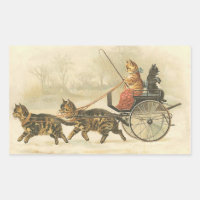 Carte postale PUrfect Coach