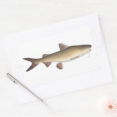 Sticker Rectangulaire Catfish guerrier (Enveloppe)