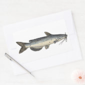 Sticker Rectangulaire Catfish (juvénile) (Enveloppe)