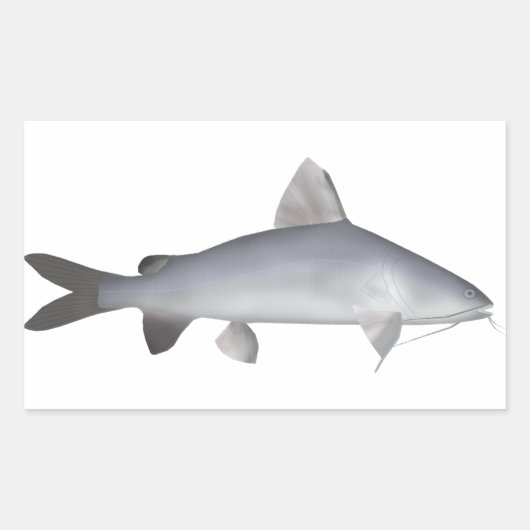 Sticker Rectangulaire Catfish Saumon bleu (Devant)