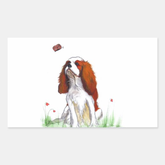 Sticker Rectangulaire Cavalier King Charles Spaniel CKC (Devant)