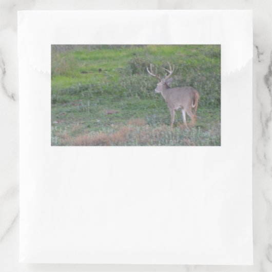 Sticker Rectangulaire cerf (Sac)