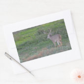 Sticker Rectangulaire cerf (Enveloppe)