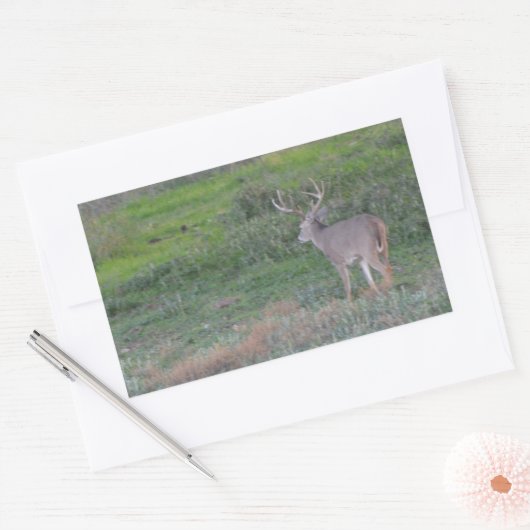 Sticker Rectangulaire cerf (Enveloppe)