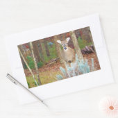 Sticker Rectangulaire Cerf de Noël (Enveloppe)