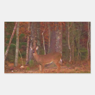 Sticker Rectangulaire Cerf, Grass vert rouge et feuilles d'or