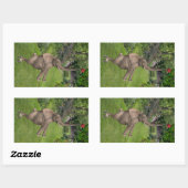Sticker Rectangulaire C'est pour ça que les amis sont (Feuille)