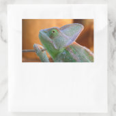 Sticker Rectangulaire Chameleon voilé (Sac)