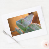 Sticker Rectangulaire Chameleon voilé (Enveloppe)