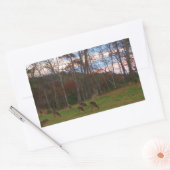 Sticker Rectangulaire Champ de cerf et un SunSet rose (Enveloppe)