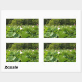 Sticker Rectangulaire Champ de fleurs de Lotus Jardin d'été (Feuille)
