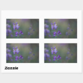 Sticker Rectangulaire Champ de Lupine (Feuille)